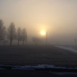 Fellow costumer, Jade